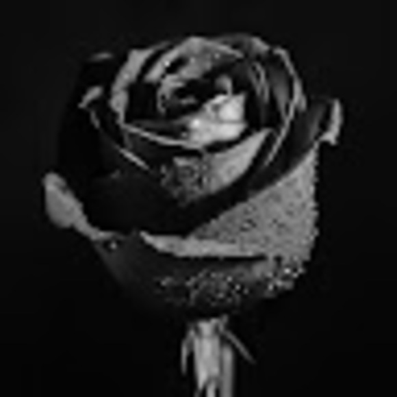 Meet your Posher, Samantha - Picture 1 of 1